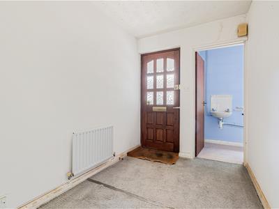 Picture 8